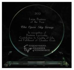 2012 Large Business of the Year Award